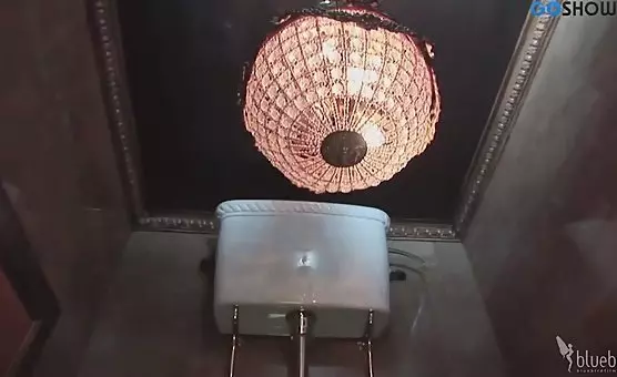 Milf Receives an Exciting Toilet Blowjob